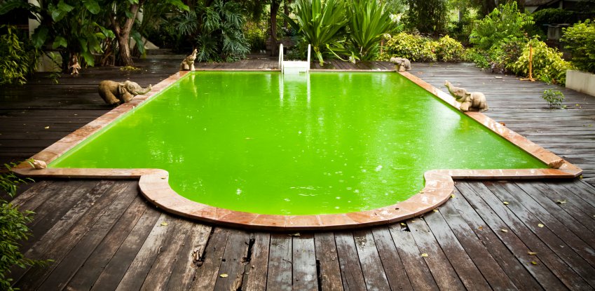 eau piscine verte